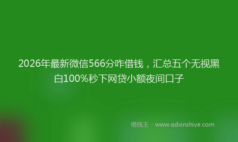 2026年最新微信566分咋借钱，汇总五个无视黑白100%秒下网贷小额夜间口子