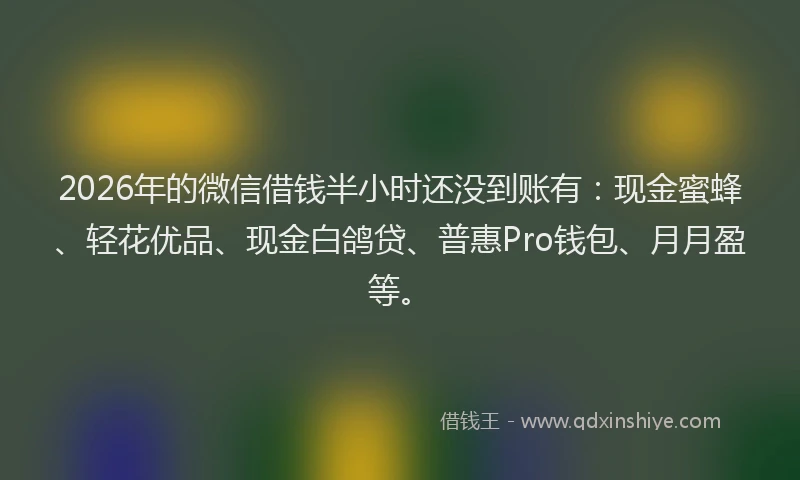2026年的微信借钱半小时还没到账有：现金蜜蜂、轻花优品、现金白鸽贷、普惠Pro钱包、月月盈等。