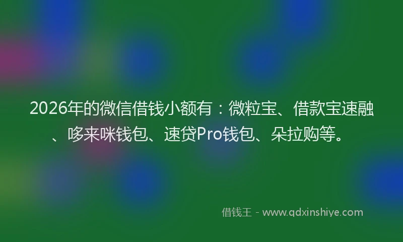 2026年的微信借钱小额有：微粒宝、借款宝速融、哆来咪钱包、速贷Pro钱包、朵拉购等。