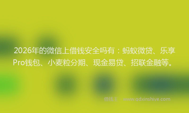 2026年的微信上借钱安全吗有：蚂蚁微贷、乐享Pro钱包、小麦粒分期、现金易贷、招联金融等。