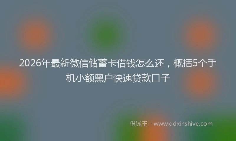 2026年最新微信储蓄卡借钱怎么还，概括5个手机小额黑户快速贷款口子