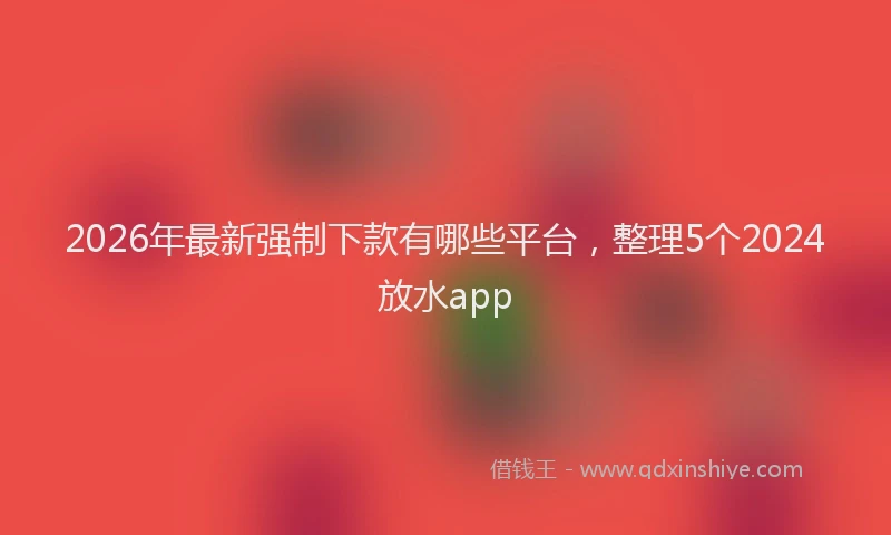 2026年最新强制下款有哪些平台，整理5个2024放水app