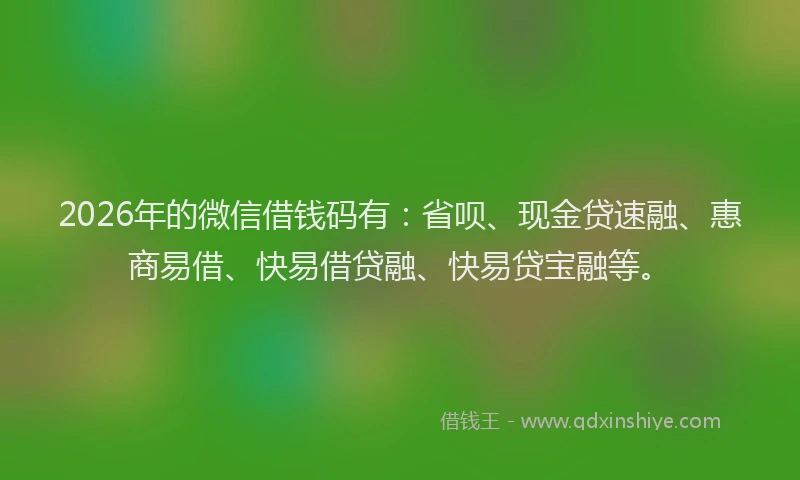 2026年的微信借钱码有：省呗、现金贷速融、惠商易借、快易借贷融、快易贷宝融等。