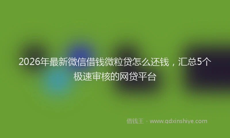 2026年最新微信借钱微粒贷怎么还钱，汇总5个极速审核的网贷平台