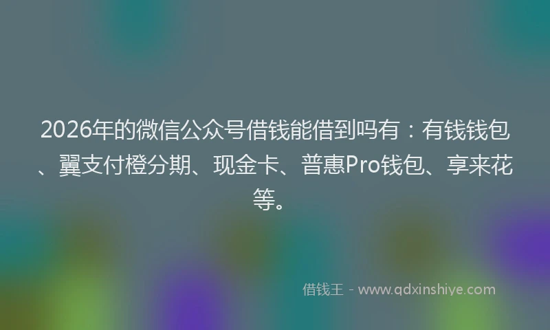 2026年的微信公众号借钱能借到吗有：有钱钱包、翼支付橙分期、现金卡、普惠Pro钱包、享来花等。