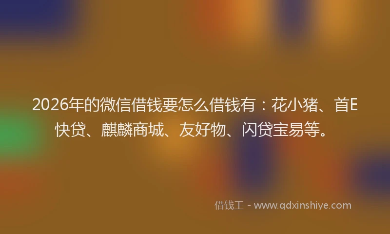 2026年的微信借钱要怎么借钱有：花小猪、首E快贷、麒麟商城、友好物、闪贷宝易等。