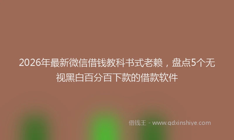 2026年最新微信借钱教科书式老赖，盘点5个无视黑白百分百下款的借款软件