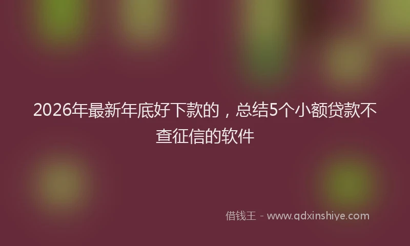 2026年最新年底好下款的，总结5个小额贷款不查征信的软件