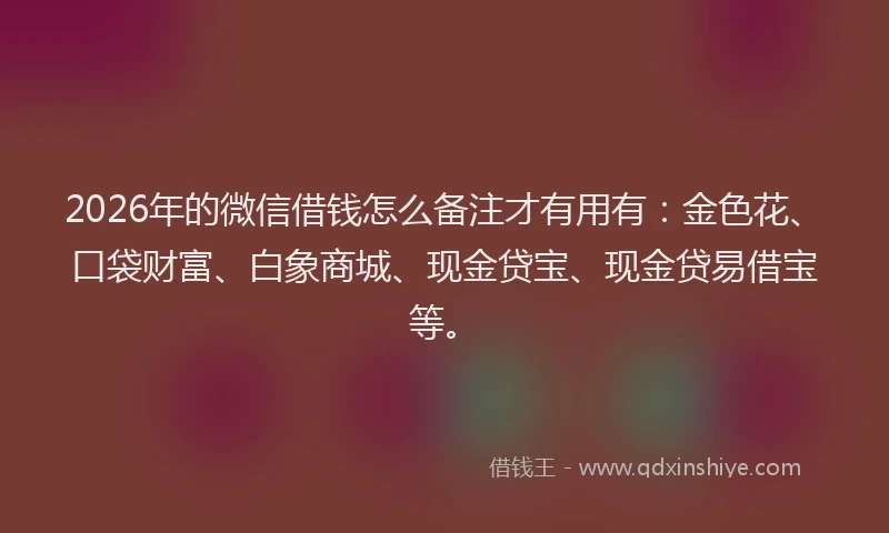 2026年的微信借钱怎么备注才有用有：金色花、口袋财富、白象商城、现金贷宝、现金贷易借宝等。
