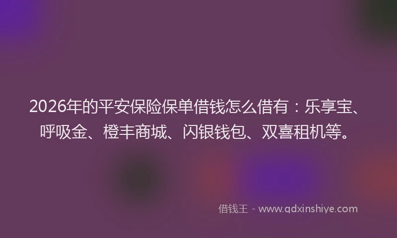 2026年的平安保险保单借钱怎么借有：乐享宝、呼吸金、橙丰商城、闪银钱包、双喜租机等。