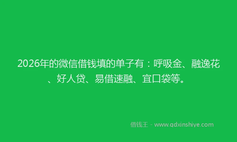 2026年的微信借钱填的单子有：呼吸金、融逸花、好人贷、易借速融、宜口袋等。