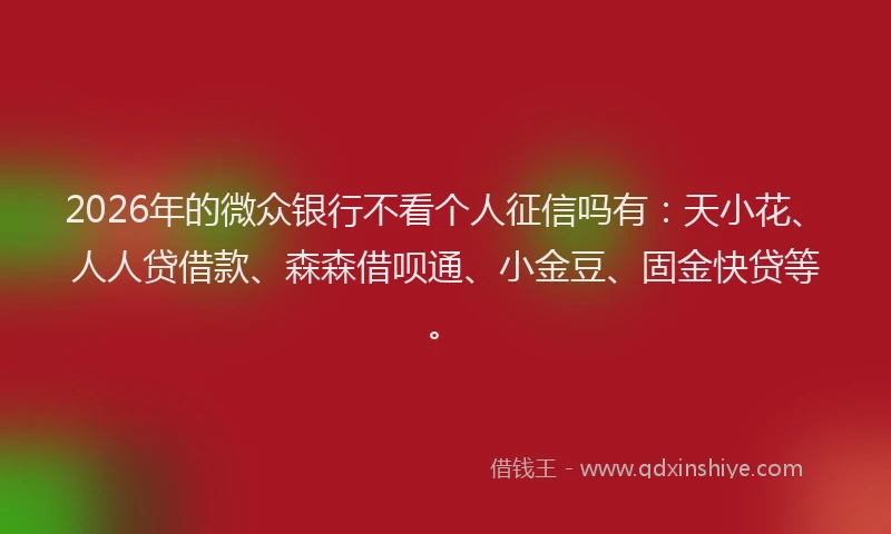2026年的微众银行不看个人征信吗有：天小花、人人贷借款、森森借呗通、小金豆、固金快贷等。