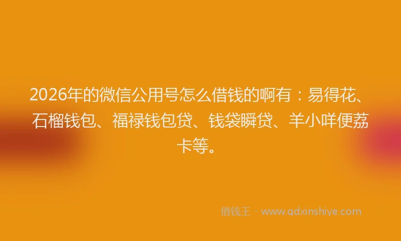 2026年的微信公用号怎么借钱的啊有：易得花、石榴钱包、福禄钱包贷、钱袋瞬贷、羊小咩便荔卡等。
