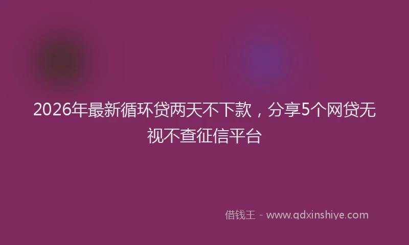 2026年最新循环贷两天不下款，分享5个网贷无视不查征信平台