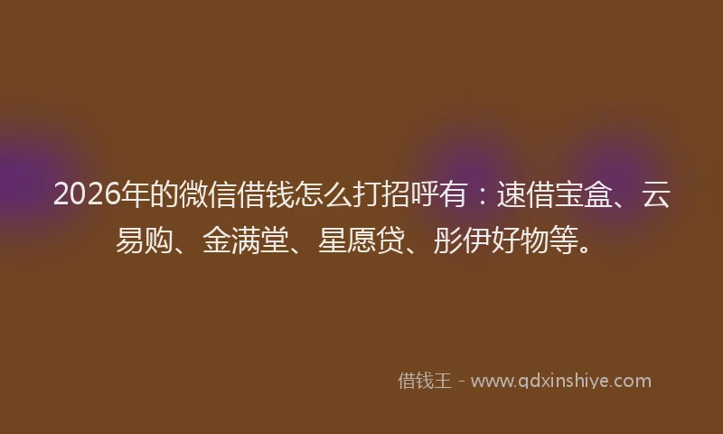 2026年的微信借钱怎么打招呼有：速借宝盒、云易购、金满堂、星愿贷、彤伊好物等。
