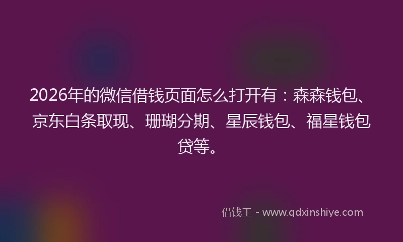2026年的微信借钱页面怎么打开有：森森钱包、京东白条取现、珊瑚分期、星辰钱包、福星钱包贷等。