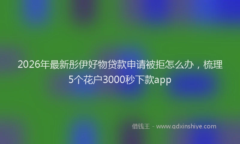 2026年最新彤伊好物贷款申请被拒怎么办，梳理5个花户3000秒下款app