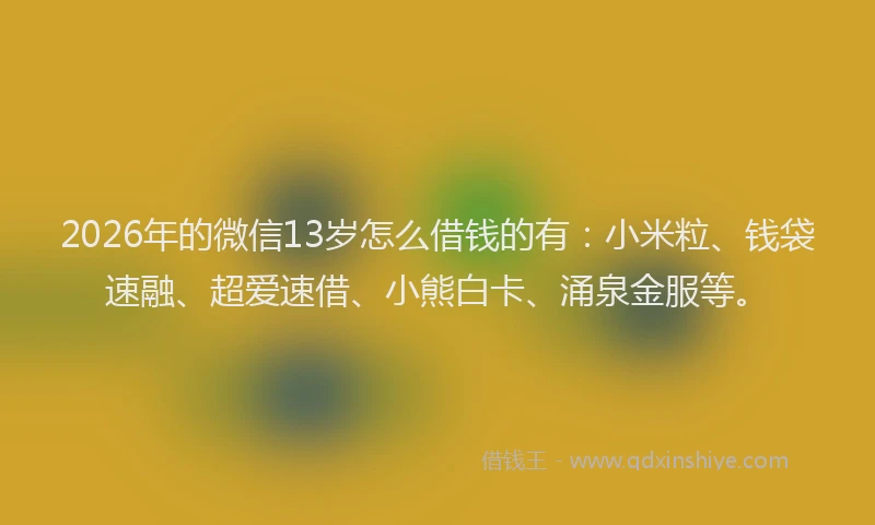 2026年的微信13岁怎么借钱的有：小米粒、钱袋速融、超爱速借、小熊白卡、涌泉金服等。