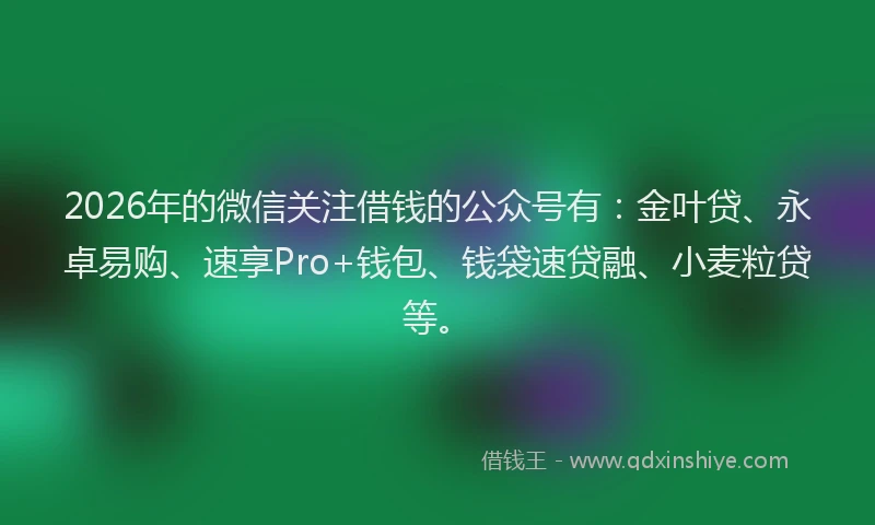2026年的微信关注借钱的公众号有：金叶贷、永卓易购、速享Pro+钱包、钱袋速贷融、小麦粒贷等。
