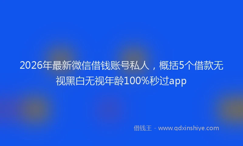 2026年最新微信借钱账号私人，概括5个借款无视黑白无视年龄100%秒过app