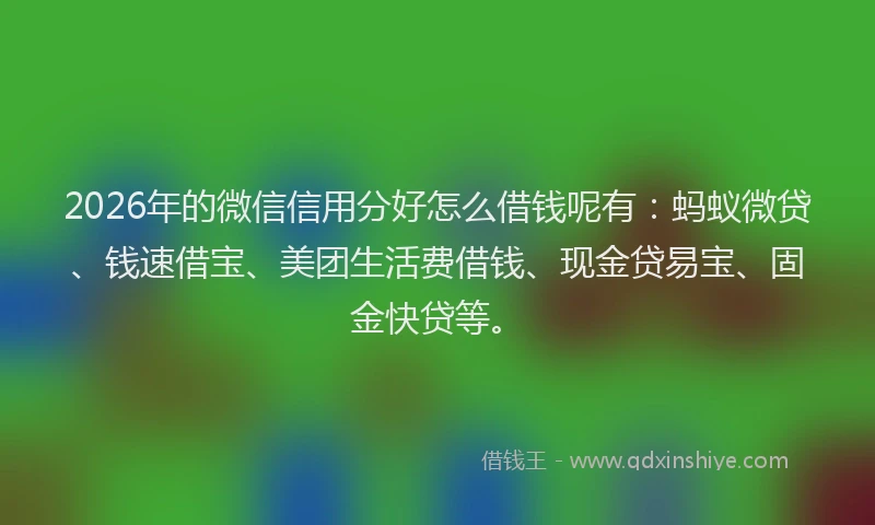 2026年的微信信用分好怎么借钱呢有：蚂蚁微贷、钱速借宝、美团生活费借钱、现金贷易宝、固金快贷等。