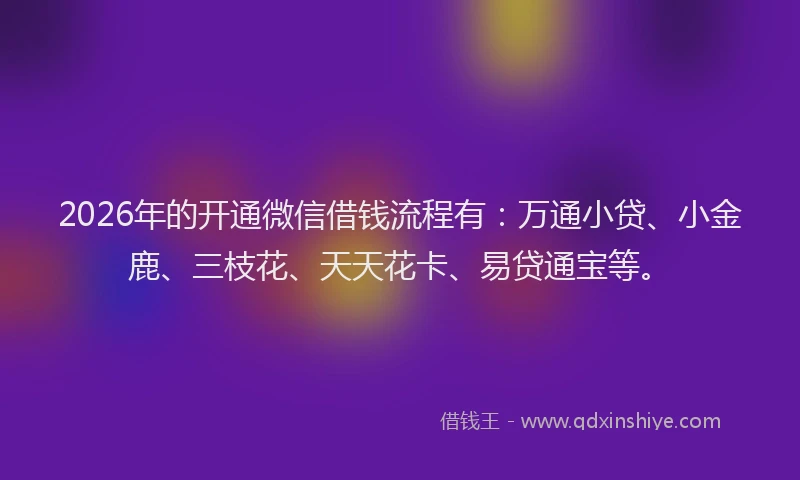2026年的开通微信借钱流程有：万通小贷、小金鹿、三枝花、天天花卡、易贷通宝等。