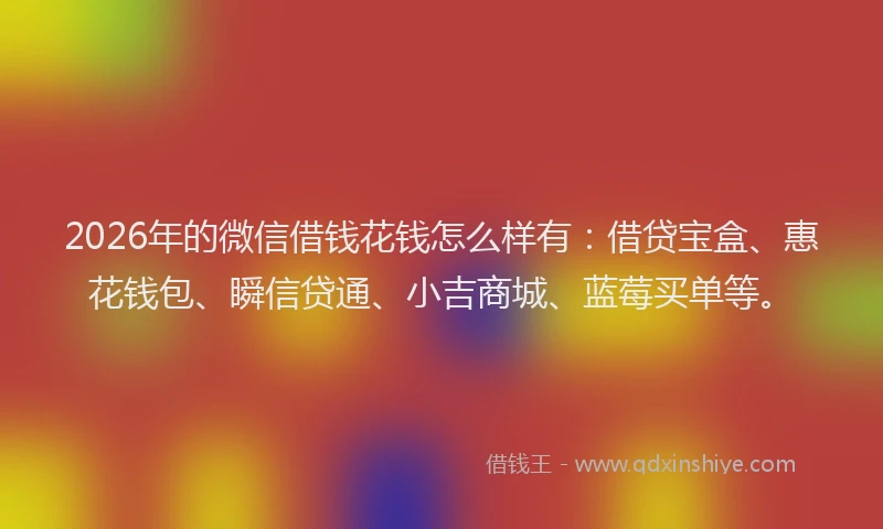 2026年的微信借钱花钱怎么样有：借贷宝盒、惠花钱包、瞬信贷通、小吉商城、蓝莓买单等。