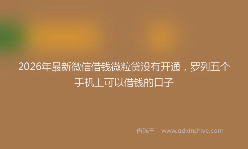 2026年最新微信借钱微粒贷没有开通，罗列五个手机上可以借钱的口子