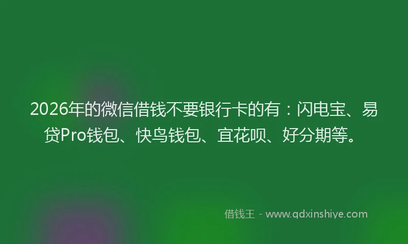 2026年的微信借钱不要银行卡的有：闪电宝、易贷Pro钱包、快鸟钱包、宜花呗、好分期等。
