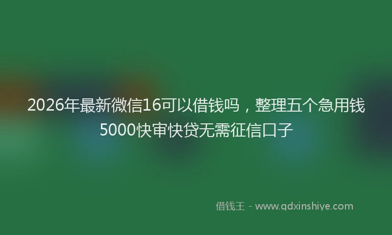 2026年最新微信16可以借钱吗，整理五个急用钱5000快审快贷无需征信口子