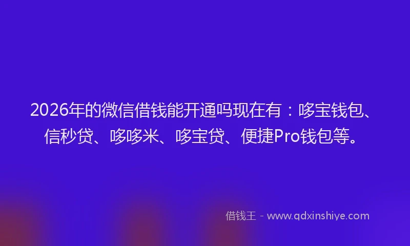 2026年的微信借钱能开通吗现在有：哆宝钱包、信秒贷、哆哆米、哆宝贷、便捷Pro钱包等。
