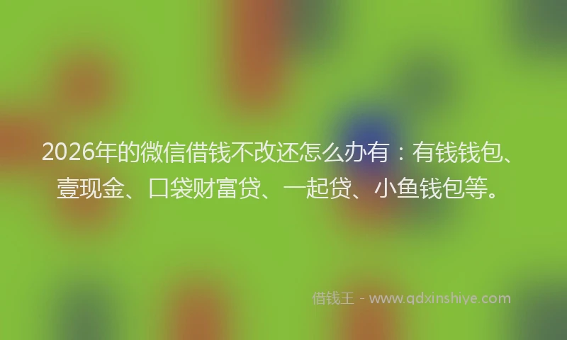 2026年的微信借钱不改还怎么办有：有钱钱包、壹现金、口袋财富贷、一起贷、小鱼钱包等。