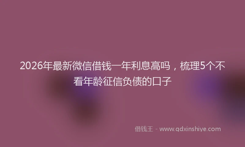 2026年最新微信借钱一年利息高吗，梳理5个不看年龄征信负债的口子