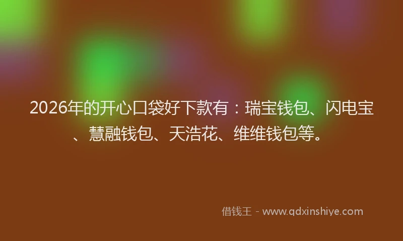 2026年的开心口袋好下款有：瑞宝钱包、闪电宝、慧融钱包、天浩花、维维钱包等。