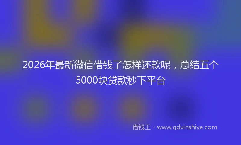 2026年最新微信借钱了怎样还款呢，总结五个5000块贷款秒下平台