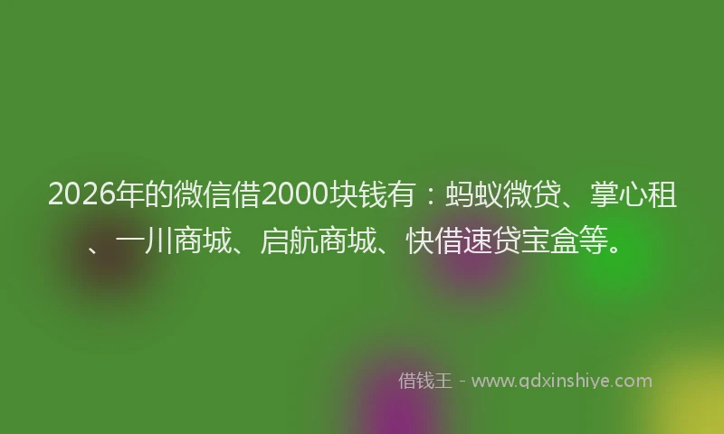 2026年的微信借2000块钱有：蚂蚁微贷、掌心租、一川商城、启航商城、快借速贷宝盒等。