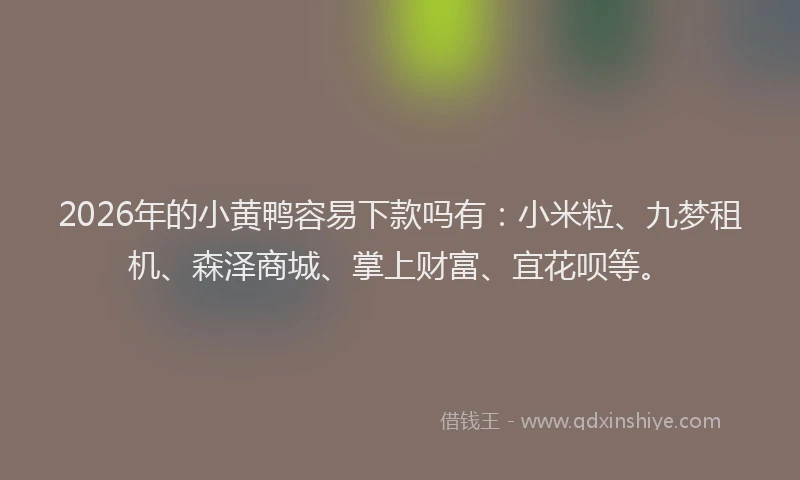 2026年的小黄鸭容易下款吗有：小米粒、九梦租机、森泽商城、掌上财富、宜花呗等。