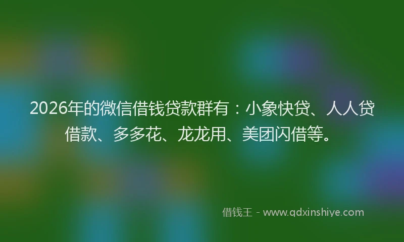 2026年的微信借钱贷款群有：小象快贷、人人贷借款、多多花、龙龙用、美团闪借等。