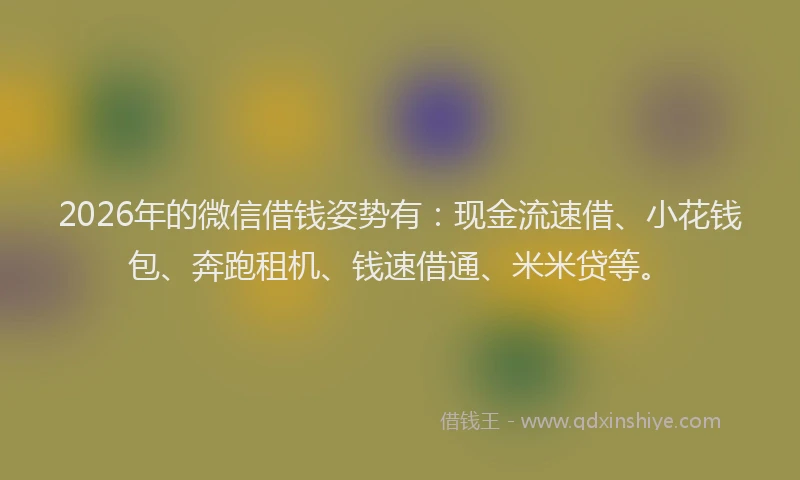 2026年的微信借钱姿势有：现金流速借、小花钱包、奔跑租机、钱速借通、米米贷等。