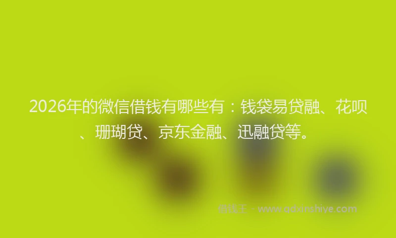 2026年的微信借钱有哪些有：钱袋易贷融、花呗、珊瑚贷、京东金融、迅融贷等。