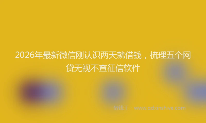 2026年最新微信刚认识两天就借钱，梳理五个网贷无视不查征信软件
