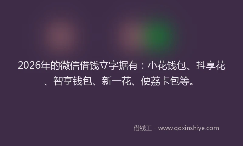 2026年的微信借钱立字据有：小花钱包、抖享花、智享钱包、新一花、便荔卡包等。