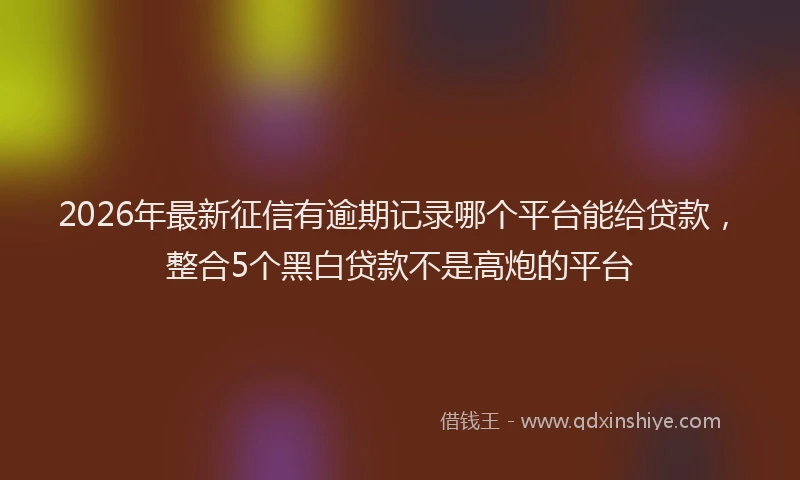 2026年最新征信有逾期记录哪个平台能给贷款，整合5个黑白贷款不是高炮的平台