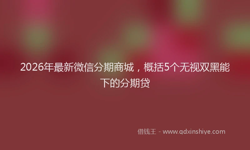 2026年最新微信分期商城，概括5个无视双黑能下的分期贷