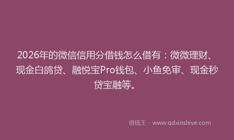 2026年的微信信用分借钱怎么借有：微微理财、现金白鸽贷、融悦宝Pro钱包、小鱼免审、现金秒贷宝融等。