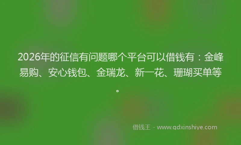 2026年的征信有问题哪个平台可以借钱有：金峰易购、安心钱包、金瑞龙、新一花、珊瑚买单等。
