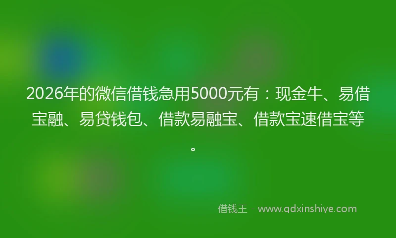 2026年的微信借钱急用5000元有：现金牛、易借宝融、易贷钱包、借款易融宝、借款宝速借宝等。