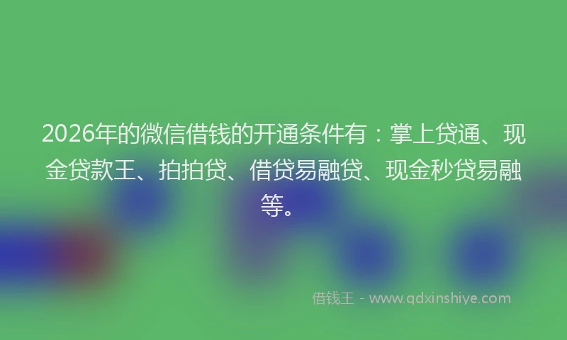 2026年的微信借钱的开通条件有：掌上贷通、现金贷款王、拍拍贷、借贷易融贷、现金秒贷易融等。