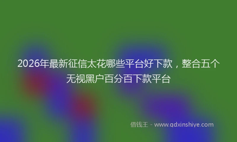 2026年最新征信太花哪些平台好下款，整合五个无视黑户百分百下款平台