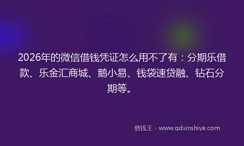 2026年的微信借钱凭证怎么用不了有：分期乐借款、乐金汇商城、鹅小易、钱袋速贷融、钻石分期等。